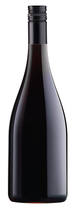 2022 Pinot Noir (cleanskin) Dozen